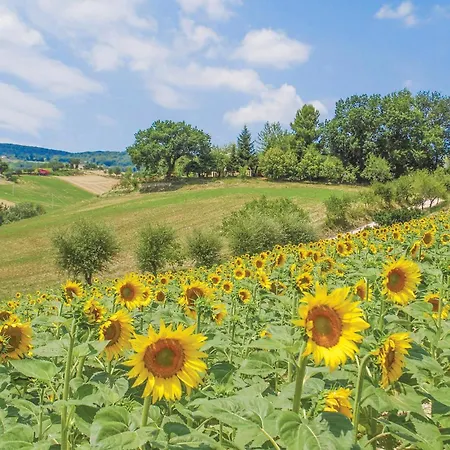 Stunning In With Wifi * Sarnano